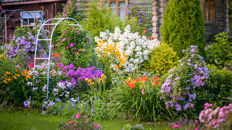A beautifully blooming flower garden.