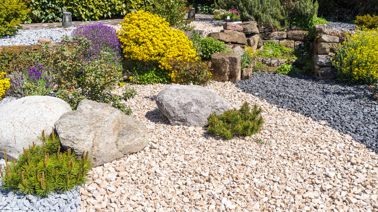 Garden with gravel mulch