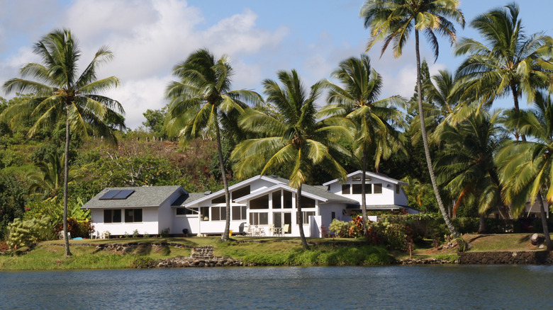 A Hawaiian home surrounded by palm trees and lush gardens sitting on the banks of a river