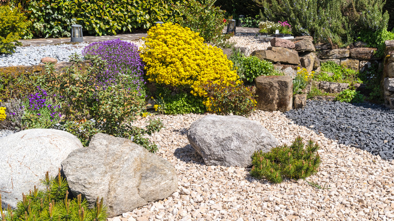 A smooth, clean gravel garden bed with boulders and numerous plants