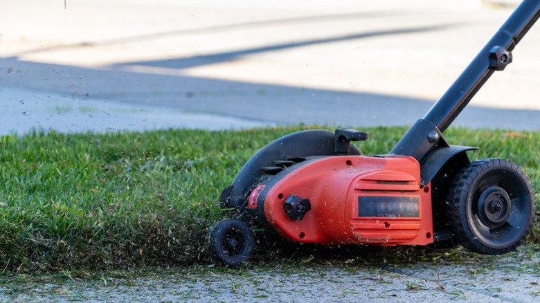 a motorized lawn edger being run along a lawn's edge