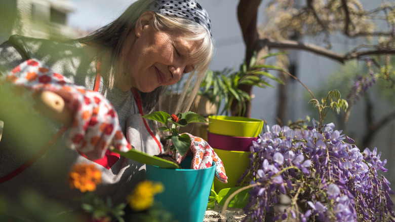 Someone tending to their flowers