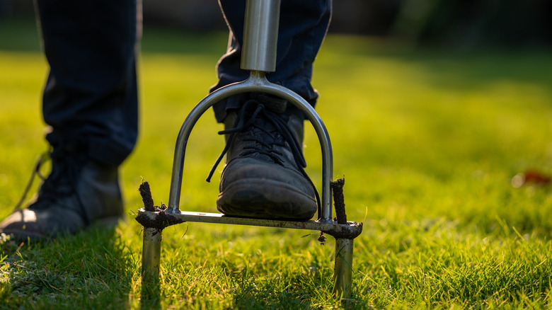 Homeowner aerating lawn.