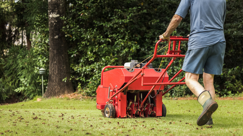 Man using gas-powered aerating machine to aerate residential grass yard