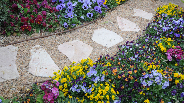 Gravel pathway between pavers can be replaced with pecan mulch.