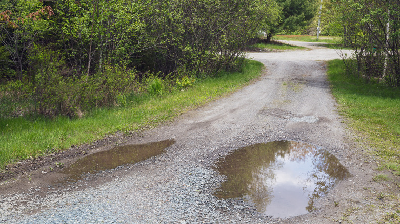 Gravel driveway with two large potholes full of water.