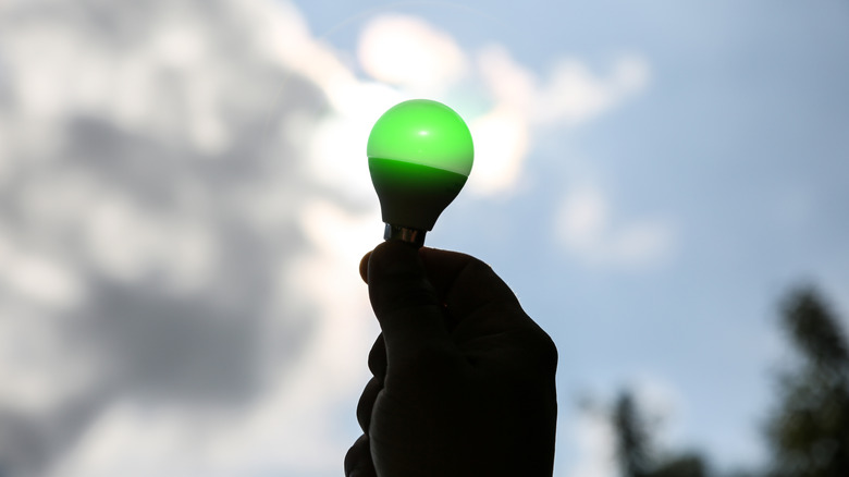 Hand holding a green light bulb outdoors