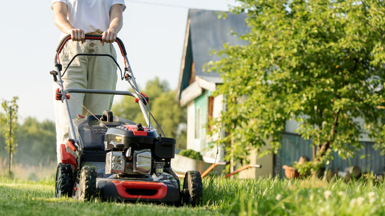 A person pushes a red and black lawn mower with a tree and a house in the background