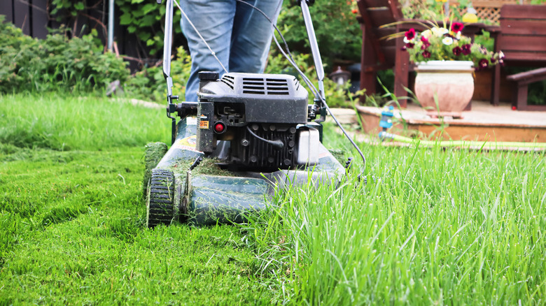 A person mowing the lawn.