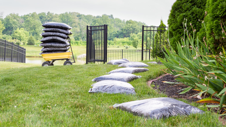 Bagged, store-bought mulch on a lawn, ready to be used