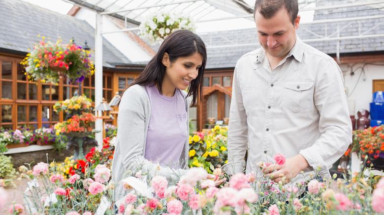 People shopping for colorful plants at a garden center