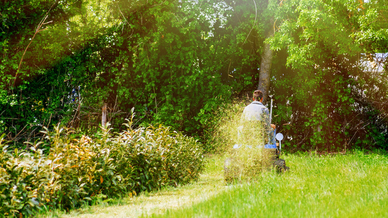 Rear view of a man sitting on his lawn tractor mowing his lawn in sunny weather
