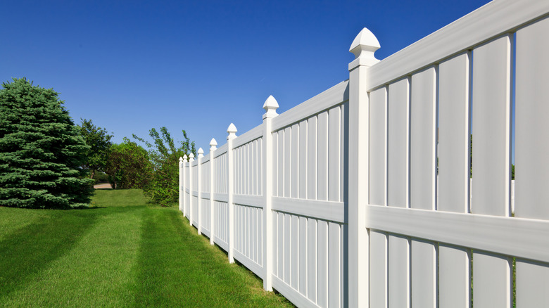 A new and contemporary vinyl fence stands out against lush green grass and a bright blue sky