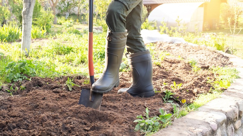 Person wearing boots digging into the ground with a shovel