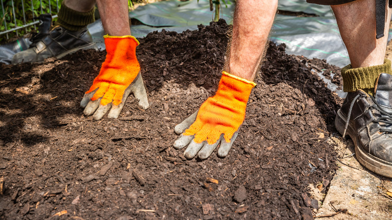 Person applying wood mulch