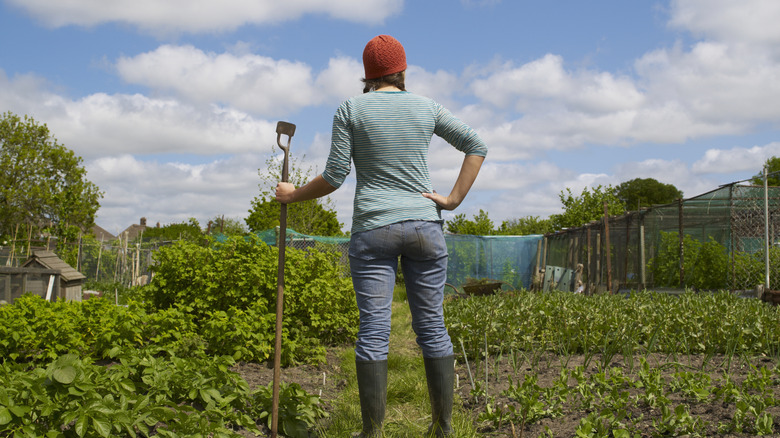 A woman holds a garden hoe in a yard