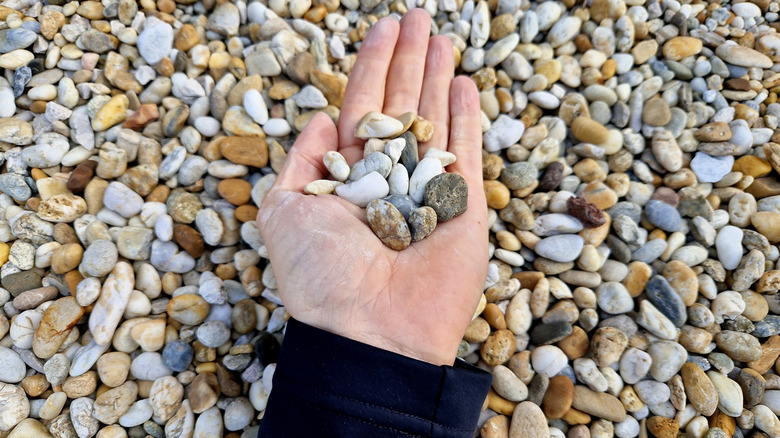 Hand holding tan and gray colored gravel rocks
