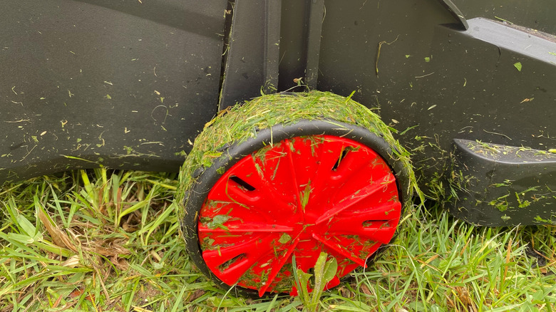 Close-up of grass clippings clumped together over lawn mower tire with red wheel
