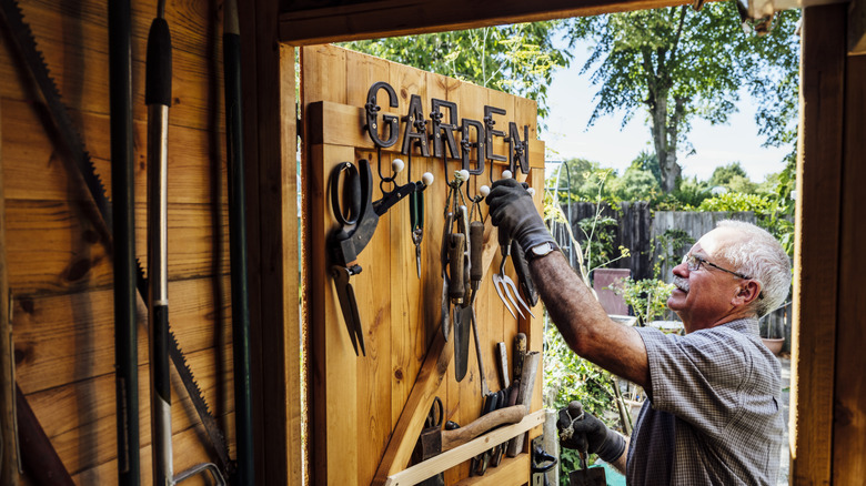 Senior man hanging garden tools on outdoor shed door