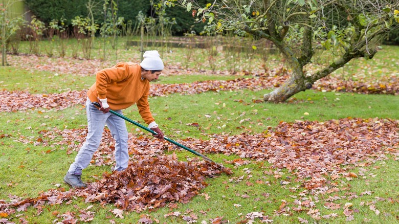 Person raking leaves on a chilly day