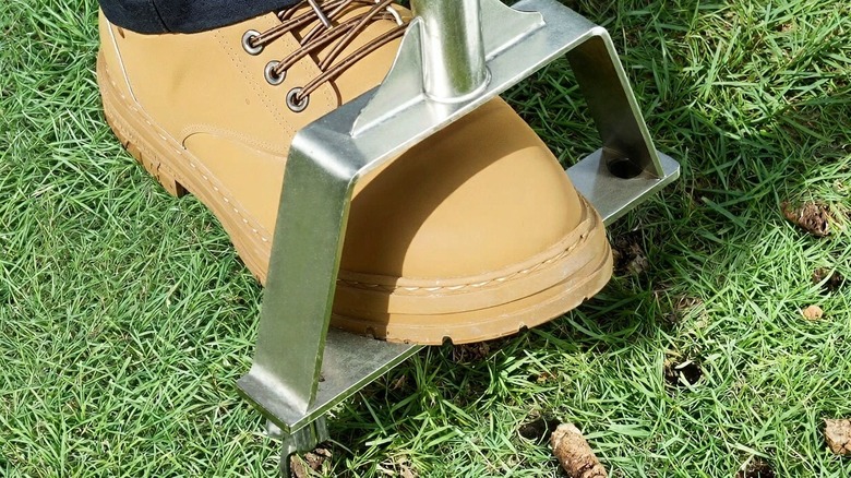 LawnVigor Core Aerator