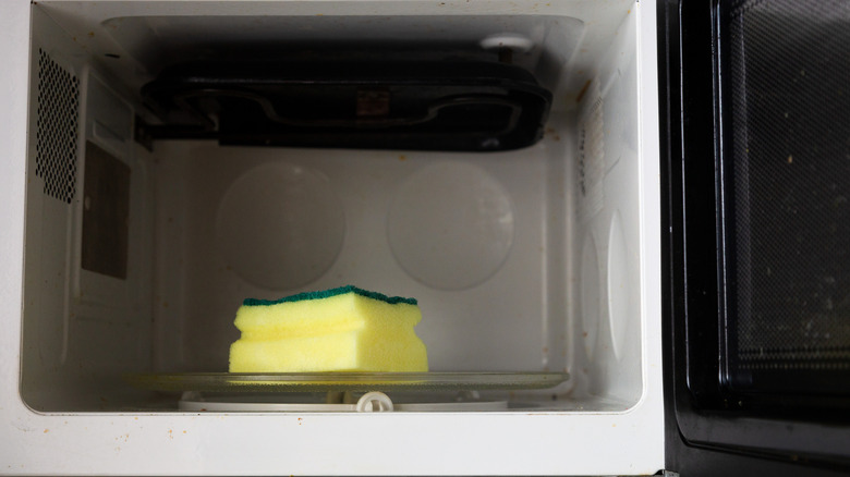 A yellow sponge sits inside a microwave ready to be zapped for sanitizing