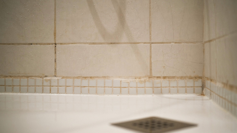 Dirty grout lines between tiles in a shower area