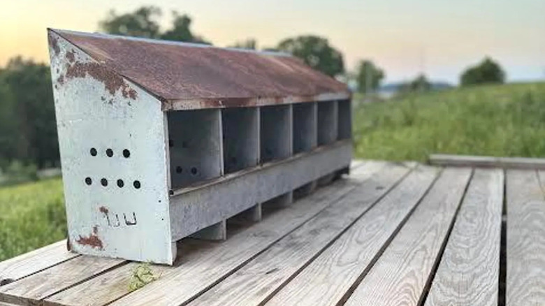 A vintage galvanized steel nesting box sits on a wooden deck