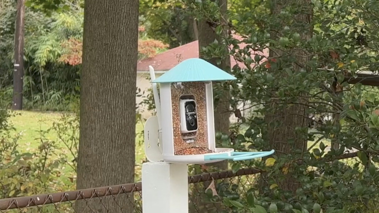 NETVUE by Birdfy's smart bird feeder with camera