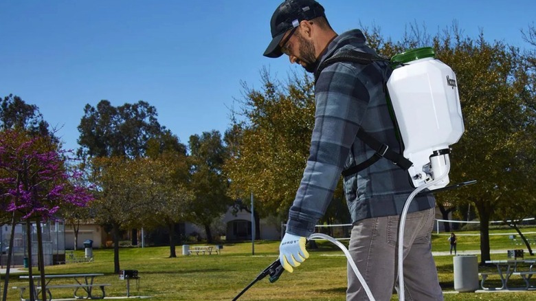 Man spraying grass with a backpack sprayer