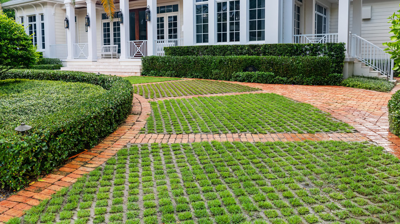 A permeable paver driveway with grass growing in the openings and brick edges