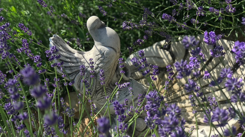a concrete birdbath surrounded by lavender flowers