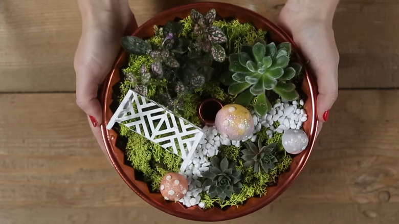 Person presenting a Bundt pan succulent planter