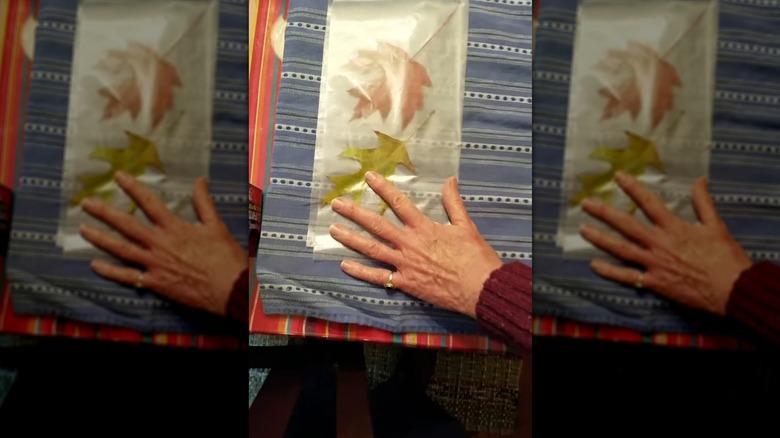 Hand pressing two leaves in a folded sheet of wax paper
