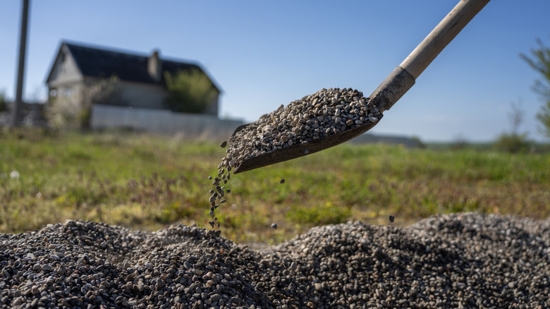 Person picking gravel with up a shovel.