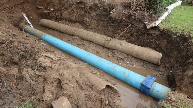 A new blue drainage line is buried underground, replacing an older line.