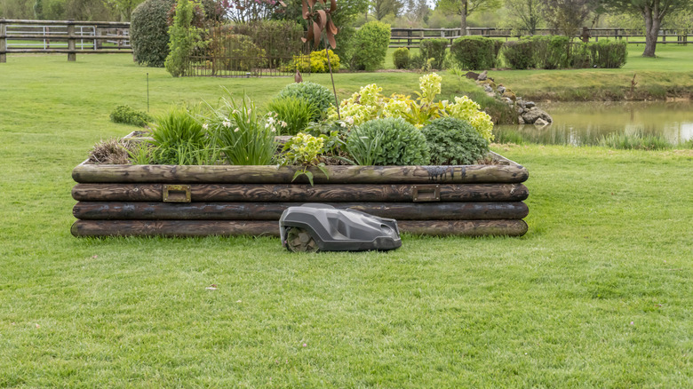 A robotic mower works its way around a bed
