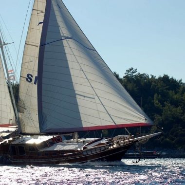 Silaechtzeilen-2KLEIN.jpg_900x700