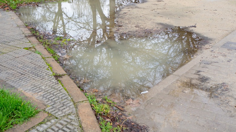Water pooling at the edge of a sunken concrete driveway
