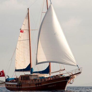 Ariva 1 1