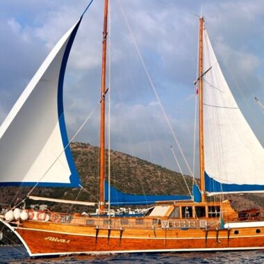 Ariva 1 2