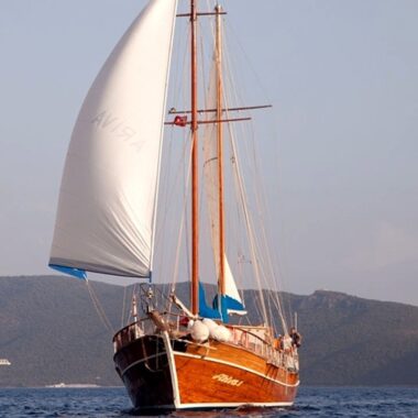 Ariva 1 4