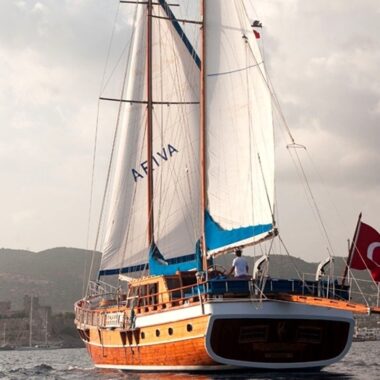 Ariva 1 5