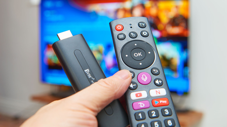 Individual holding a Roku streaming device with a remote control