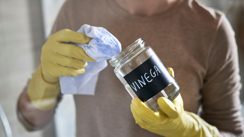 gloved hands dipping rag in vinegar jar