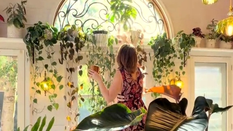 woman putting plants on a ledge that extends over a door