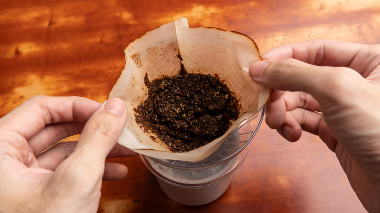 Person holding leftover filter with coffee grounds