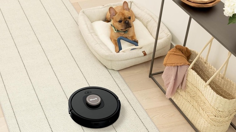 Shark robot vacuum cleaning floor beside dog