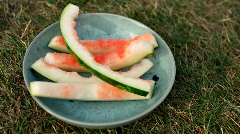 A plate of watermelon rinds in grass