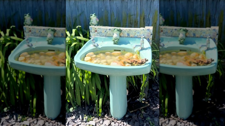 DIY sink birdbath with rocks.